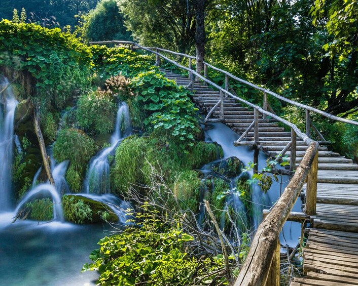 Picture 5 for Activity Private Full - Day Tour: Plitvice Lakes from Dubrovnik