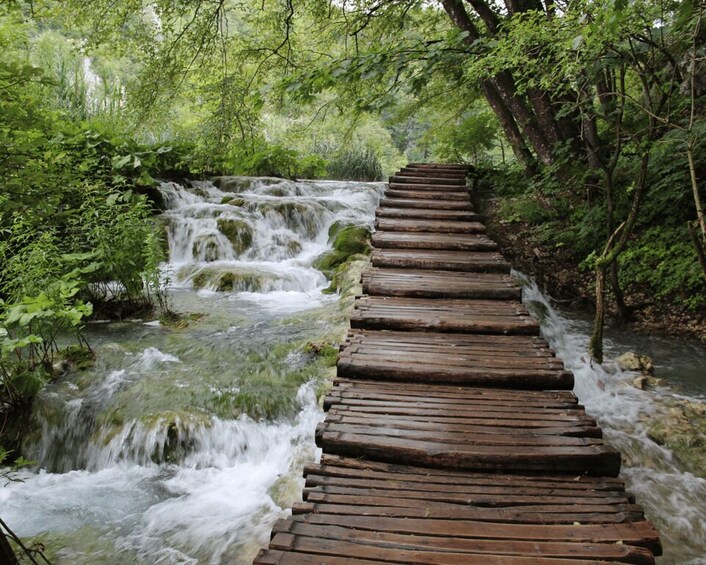 Picture 2 for Activity Private Full - Day Tour: Plitvice Lakes from Dubrovnik