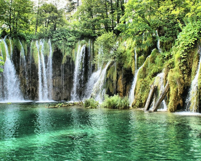 Private Full - Day Tour: Plitvice Lakes from Dubrovnik