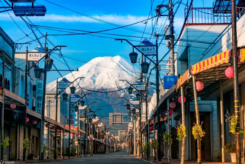 Picture 9 for Activity From Tokyo: Guided Day Trip to Kawaguchi Lake and Mt. Fuji