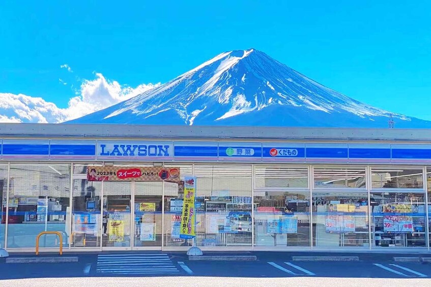 Picture 1 for Activity From Tokyo: Guided Day Trip to Kawaguchi Lake and Mt. Fuji