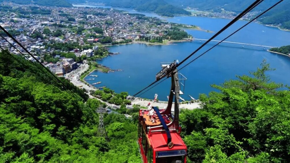 Picture 3 for Activity From Tokyo: Guided Day Trip to Kawaguchi Lake and Mt. Fuji