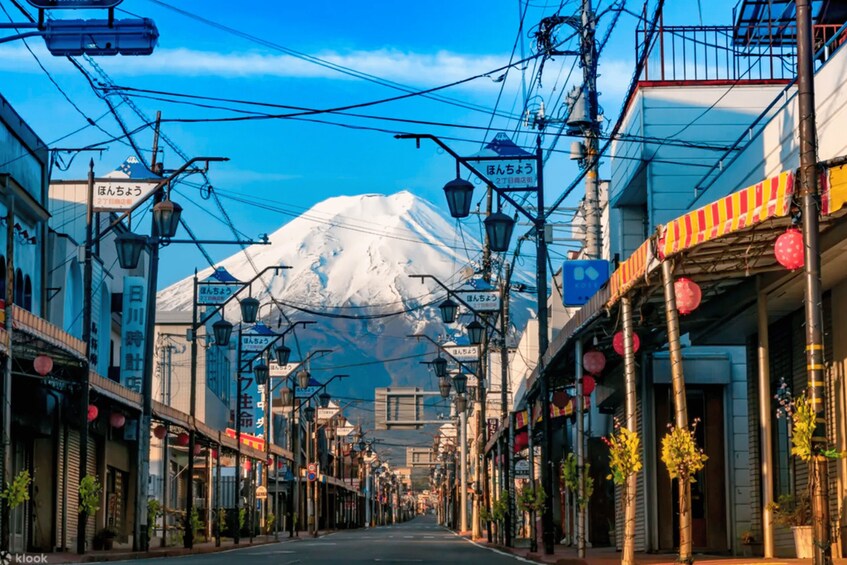 Picture 9 for Activity From Tokyo: Guided Day Trip to Kawaguchi Lake and Mt. Fuji