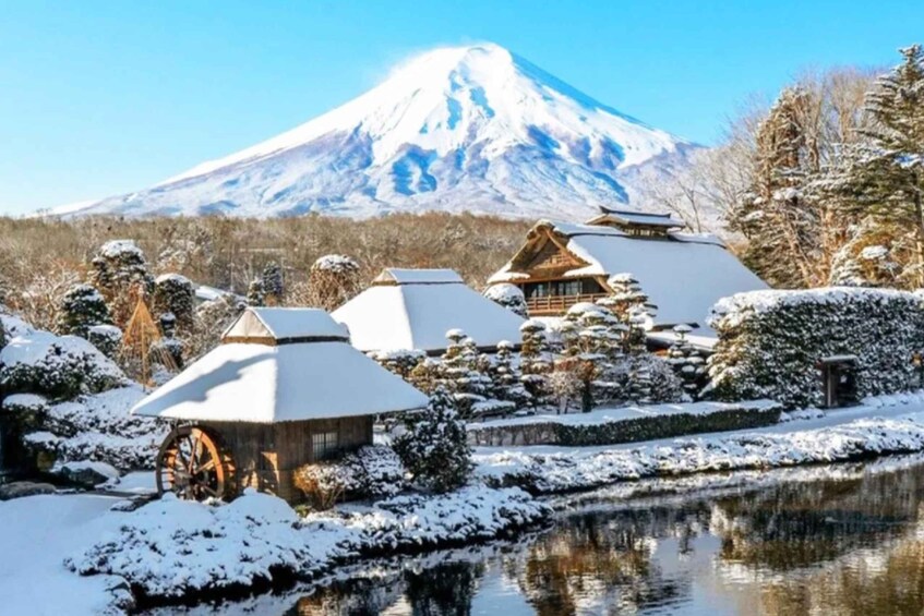 Picture 8 for Activity From Tokyo: Guided Day Trip to Kawaguchi Lake and Mt. Fuji