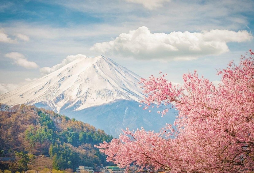 Picture 13 for Activity From Tokyo: Day Trip to Kawaguchi Lake, Rope way, Mount Fuji