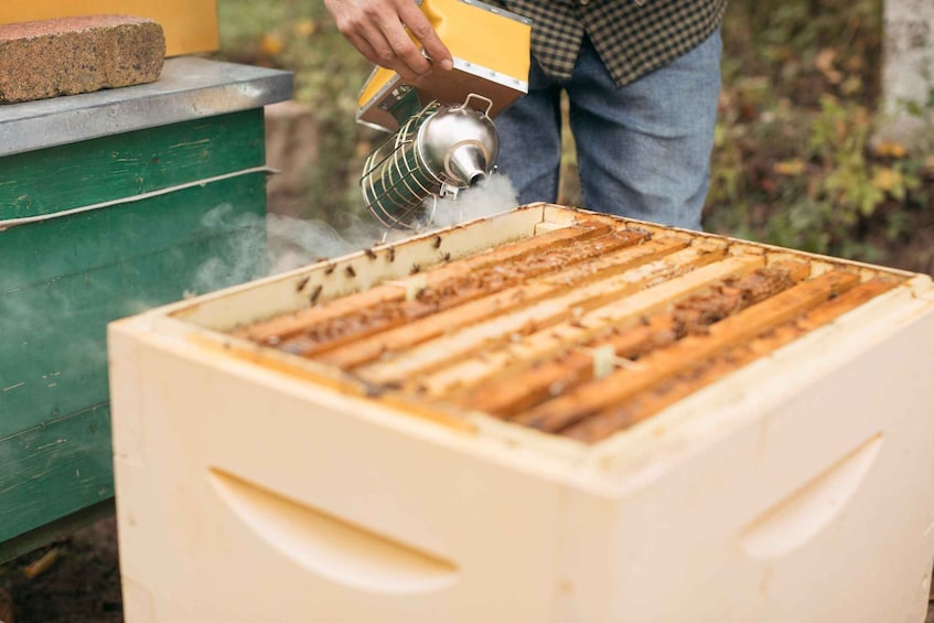 Picture 7 for Activity Beekeeping and Honey Wine Making Experience