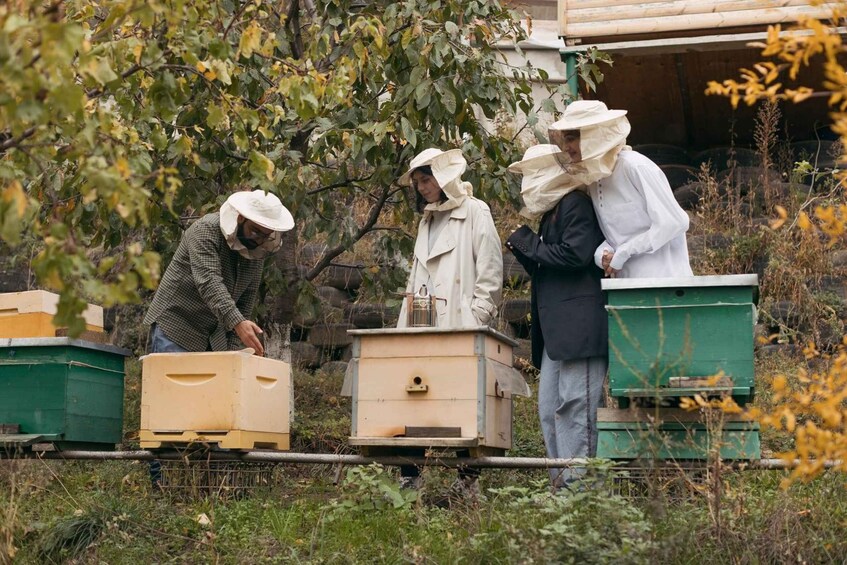 Beekeeping and Honey Wine Making Experience