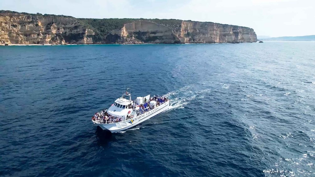 Picture 1 for Activity Barbate: Dolphin and Whale Watching in Cape Trafalgar