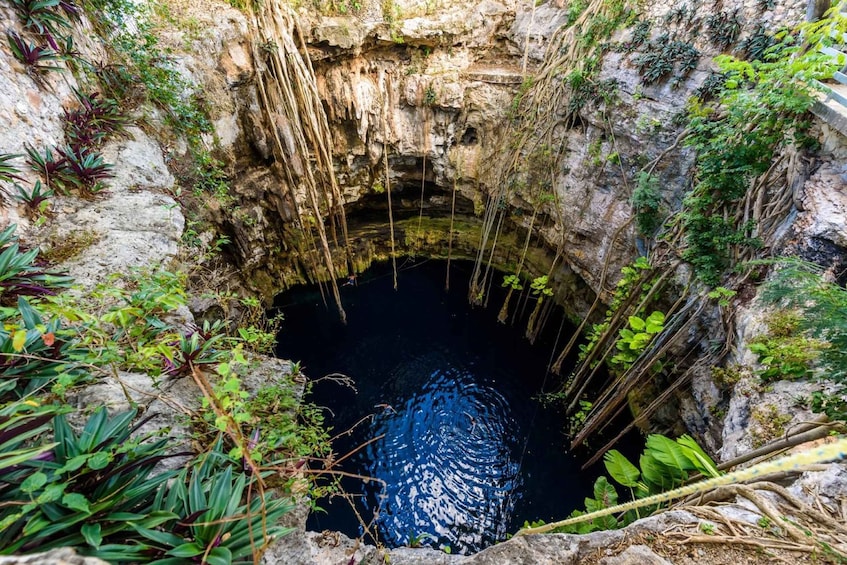 Picture 1 for Activity From Cancún: Chichen Itza, Valladolid, and Cenote Bus Tour