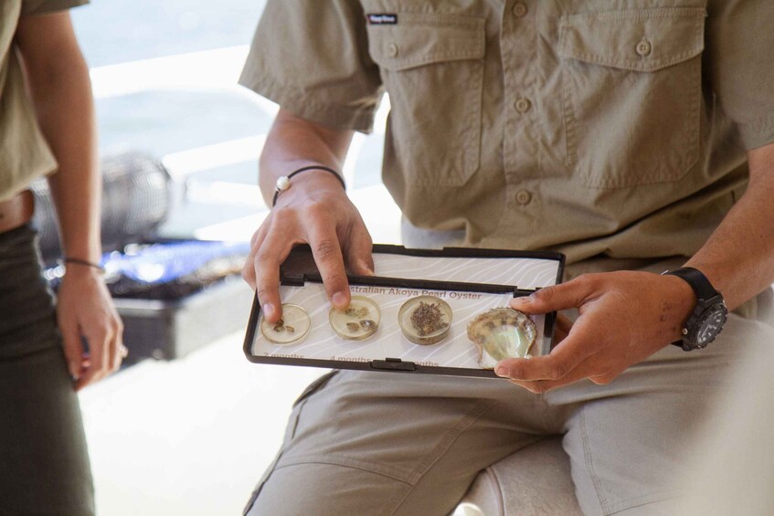 Picture 1 for Activity Secrets of Pearling at Broken Bay