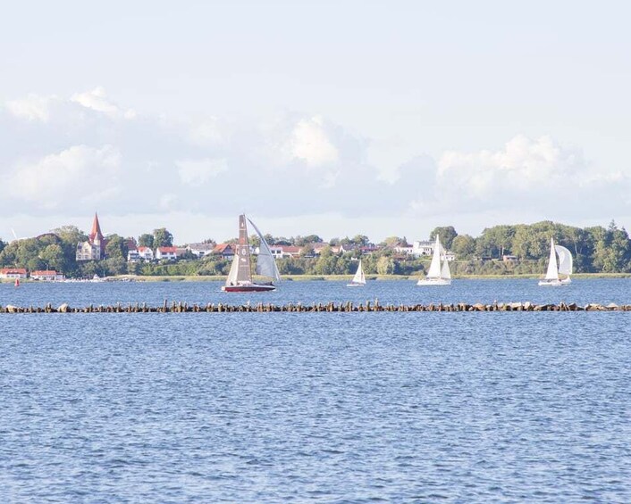Picture 8 for Activity Wednesday Regatta with harbour tour