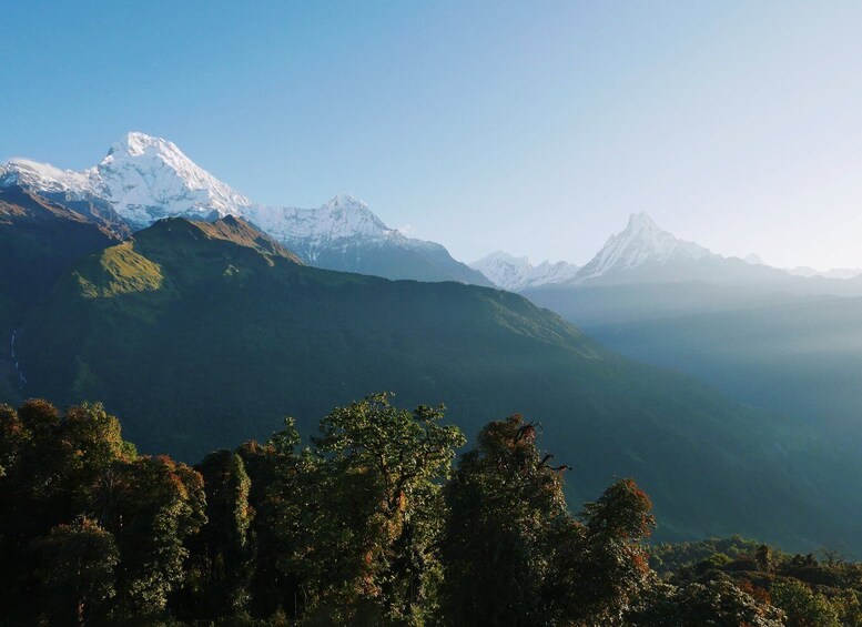 Picture 7 for Activity Pokhara:4-Day Ghorepani Poon Hill Guided Trek via Ghandruk