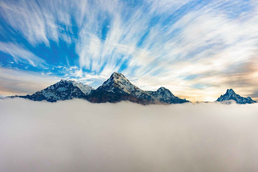Picture 10 for Activity Pokhara:4-Day Ghorepani Poon Hill Guided Trek via Ghandruk