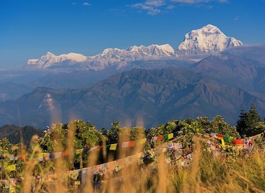 Pokhara:4-Tage Ghorepani Poon Hill Geführter Trek über Ghandruk
