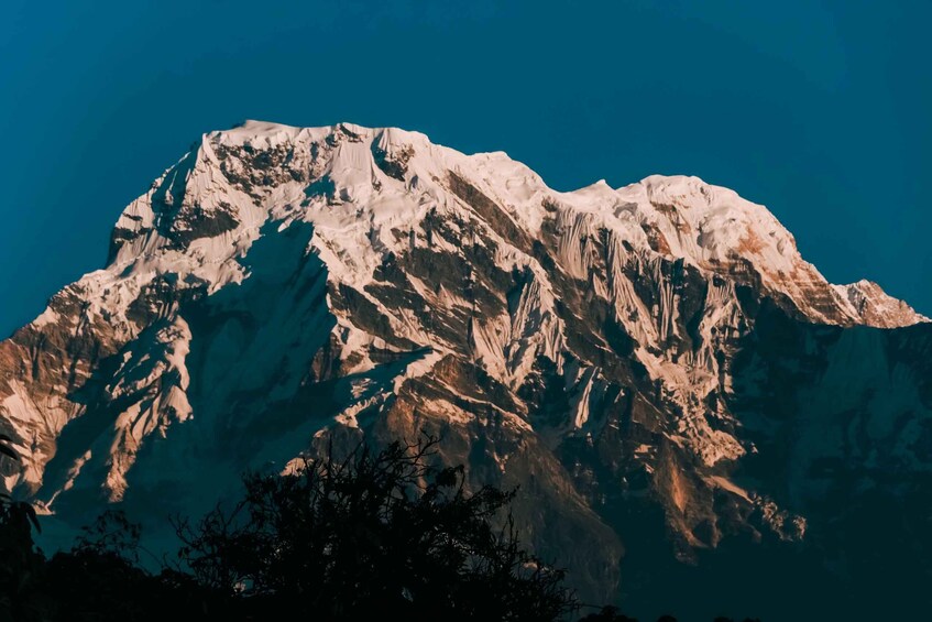 Picture 13 for Activity Pokhara:4-Day Ghorepani Poon Hill Guided Trek via Ghandruk