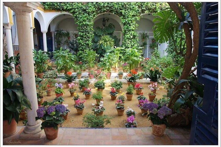 Patio in Santa cruz