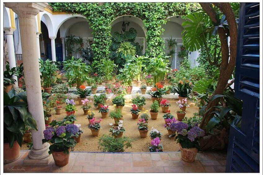 Patio in Santa cruz