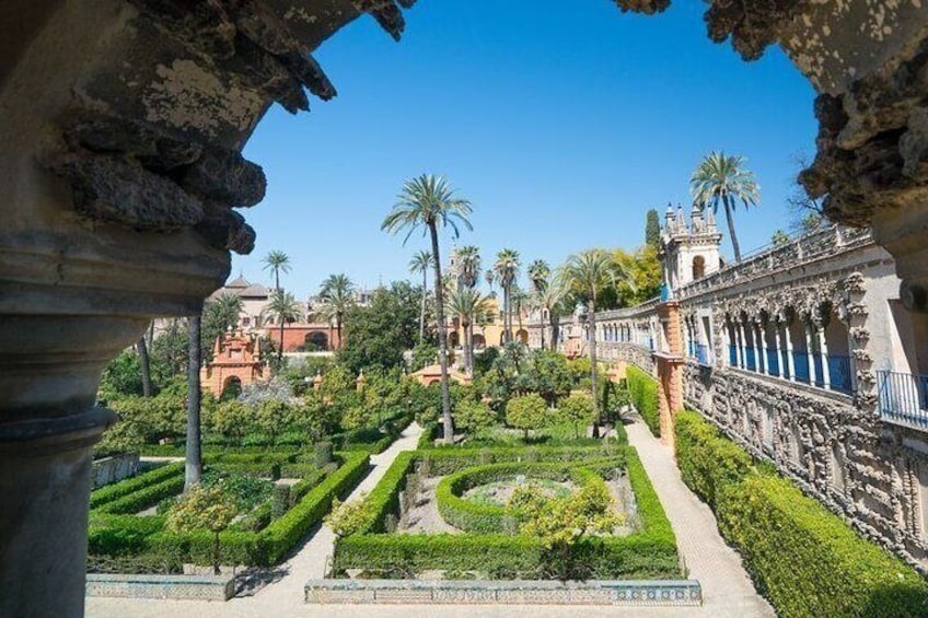 Alcazar and Cathedral of Seville Tour with Breakfast included in the Gardens