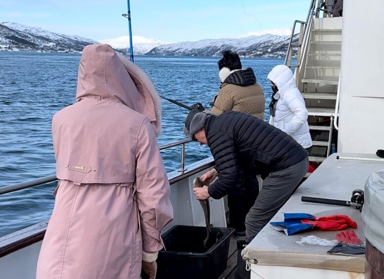 Picture 6 for Activity Tromsø:Arctic Fishing & Seafood Fjord Cruise on Luxury Yacht