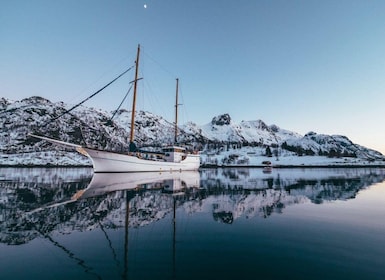 Tromsø:Arctic Fishing & Seafood Fjord Cruise on Luxury Yacht
