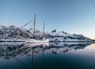 Tromsø:Arctic Fishing & Seafood Fjord Cruise on Luxury Yacht