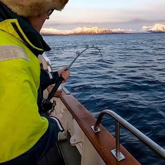Picture 11 for Activity Tromsø:Arctic Fishing & Seafood Fjord Cruise on Luxury Yacht
