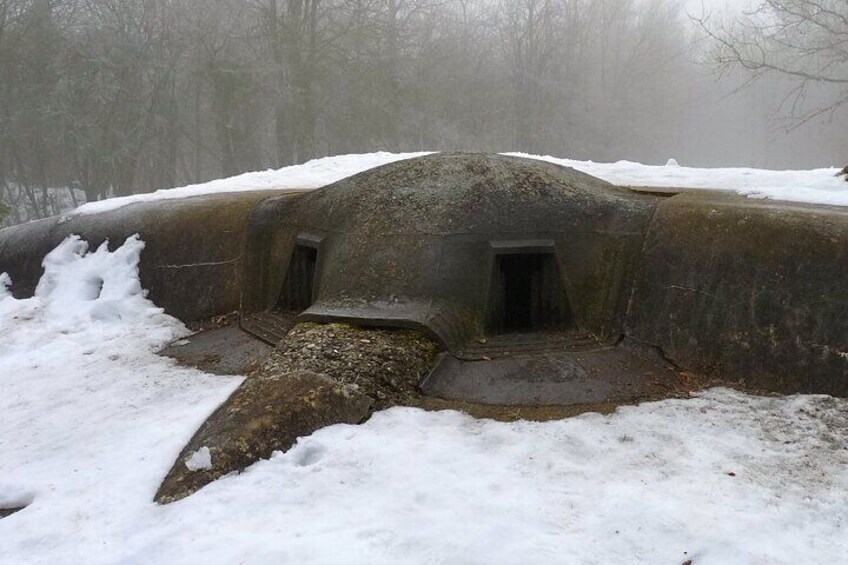 Private Tour of the Verdun 1916 Battlefields from Reims