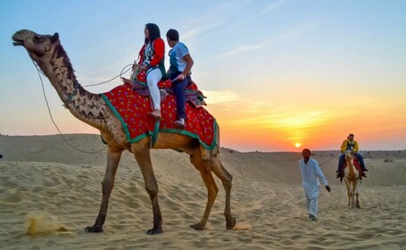 8 Days Rajasthan Tour - Jaipur, Jodhpur, Jaisalmer & Bikaner