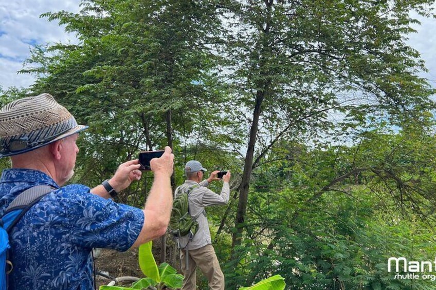 The ultimate Cocoa farm experience 