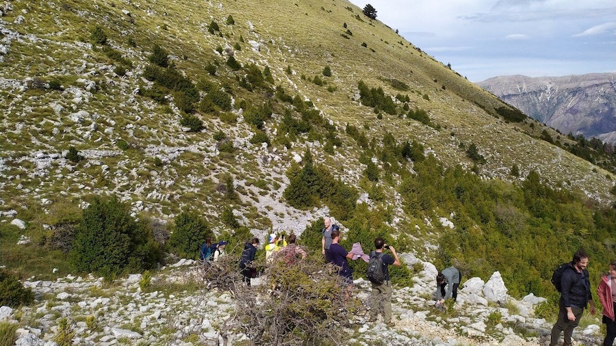 Vlore : Llogara National Park Infocenter to Deep Neck