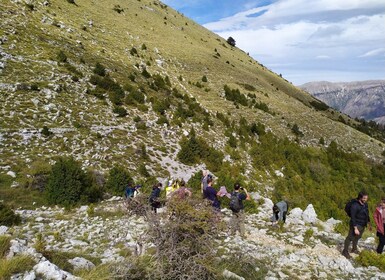 Vlore: Llogara Nationaal Park Infocentrum naar Diepe Hals