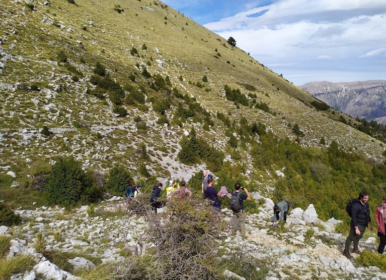 Vlore : Llogara National Park Infocenter to Deep Neck