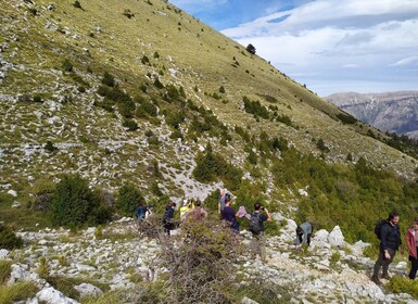 Vlore: Llogara National Park Infocenter till Deep Neck