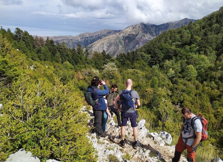 Picture 3 for Activity Vlore : Llogara National Park Infocenter to Deep Neck