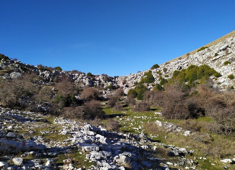 Picture 4 for Activity Vlore : Llogara National Park Infocenter to Deep Neck