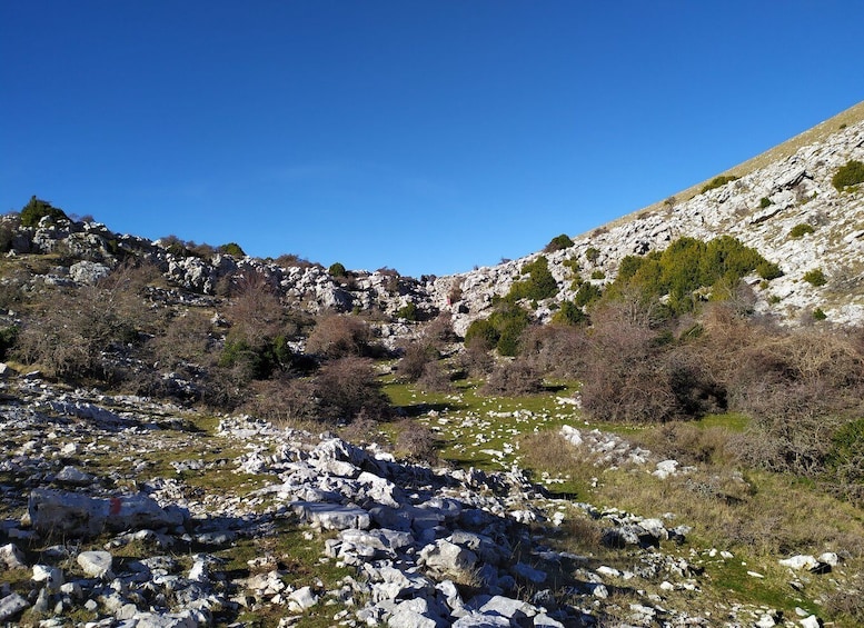 Picture 4 for Activity Vlore : Llogara National Park Infocenter to Deep Neck