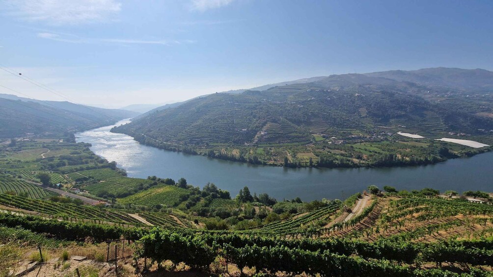 Picture 11 for Activity Private tour to Douro Valley 2 Wine Tastings, lunch and boat