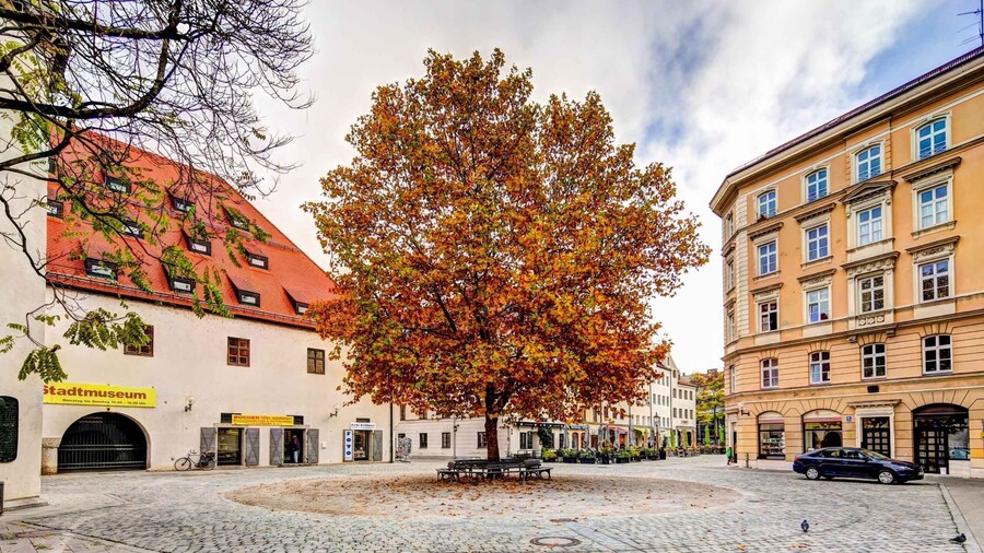 Skip-the-line Jewish Museum & Jewish Quarter Guided Tour