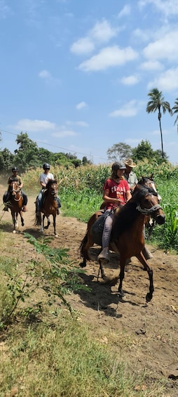 Picture 7 for Activity Peru, Chiclayo: 1 day horseback riding and Ancient Pyramids
