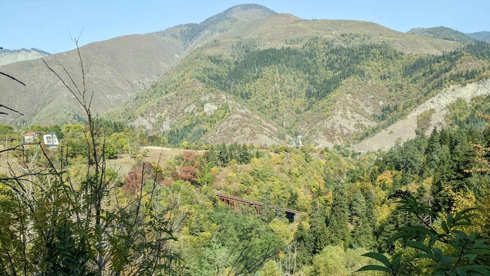 Picture 2 for Activity Tbilisi: Borjomi central park, Green monastery and forest