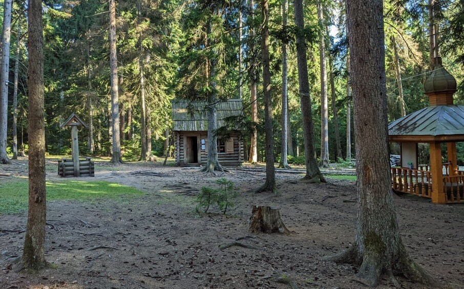 Picture 1 for Activity Tbilisi: Borjomi central park, Green monastery and forest