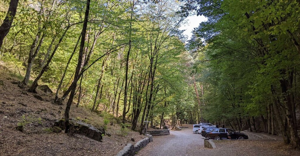 Picture 5 for Activity Tbilisi: Borjomi central park, Green monastery and forest