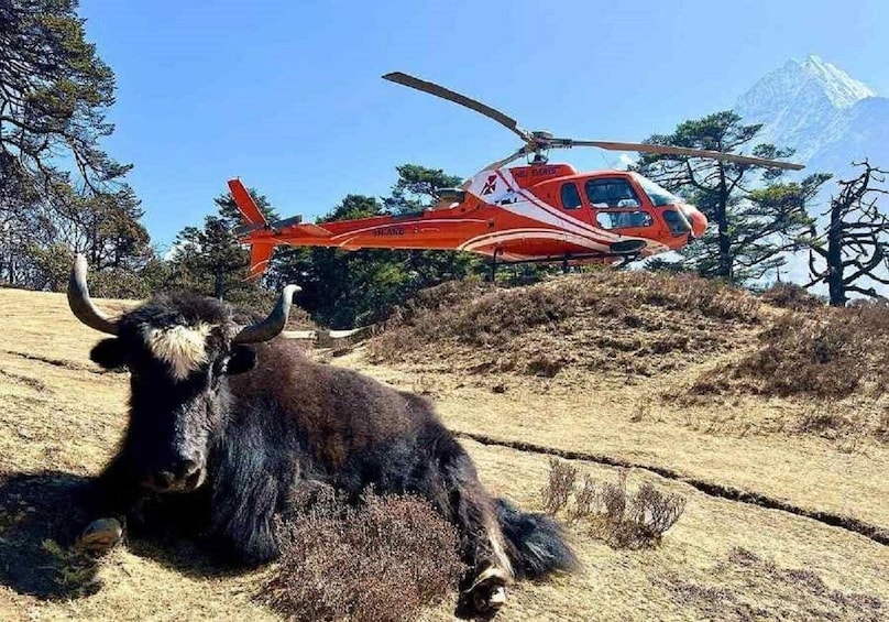 Picture 5 for Activity Everest Base Camp Helicopter Tour