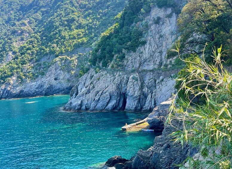 Picture 7 for Activity Cinqueterre Experience