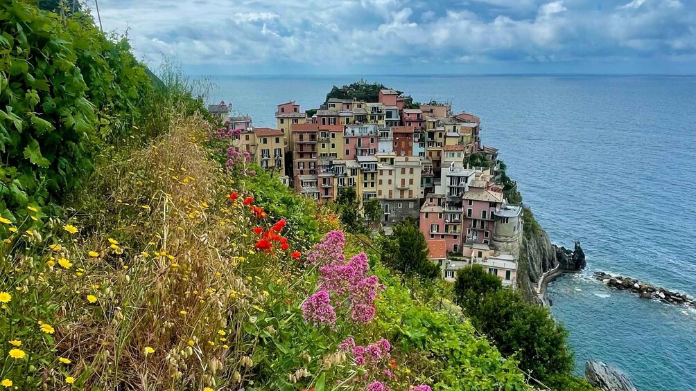 Picture 10 for Activity Cinqueterre Experience