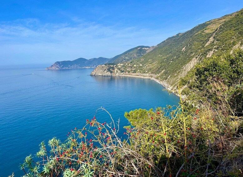 Picture 4 for Activity Cinqueterre Experience
