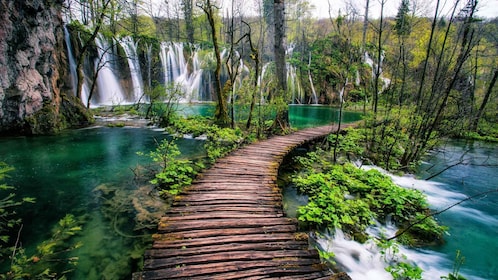 Zadar: Plitvice Lakes Guided Day Tour with Tickets
