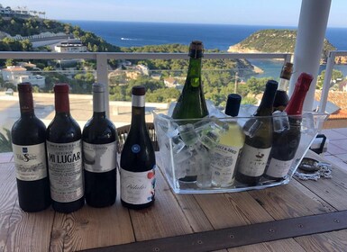 Local wine tasting with walking tapas tour and lunch