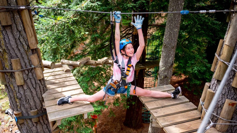 Launceston: Hollybank Tree Ropes Course