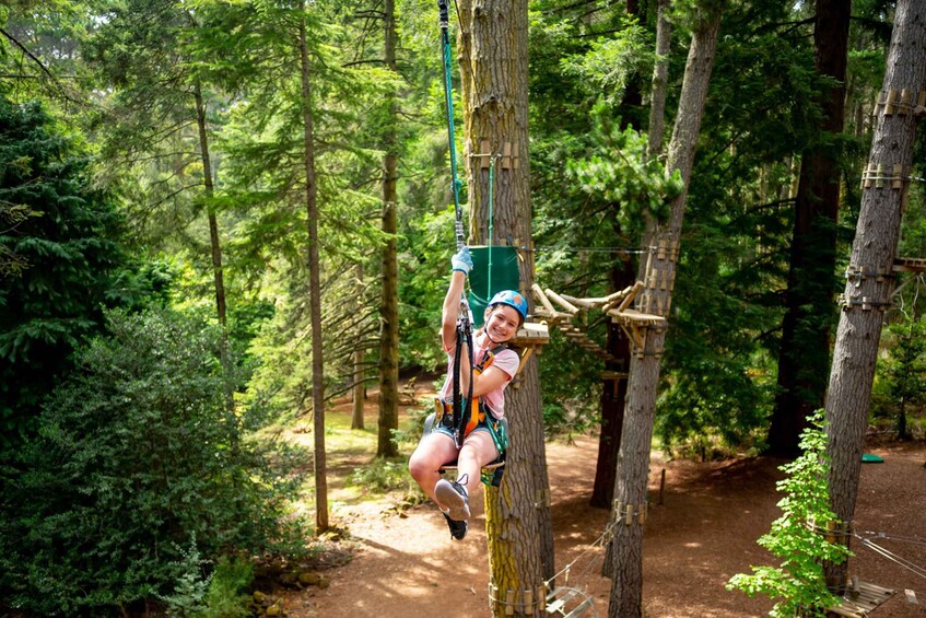 Picture 3 for Activity Launceston: Hollybank Tree Ropes Course